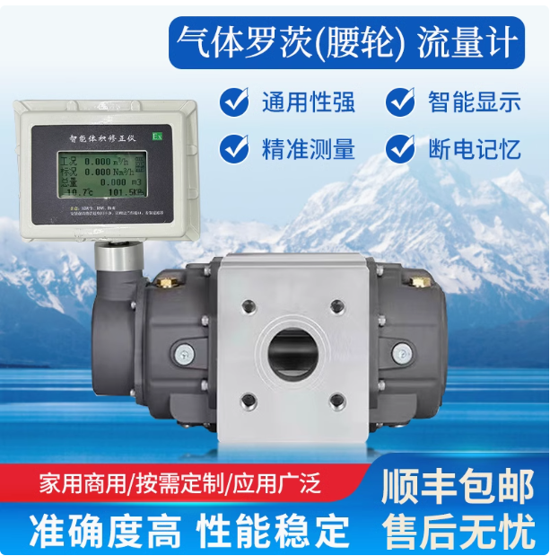 LLQ-40氣體羅茨腰輪流量計