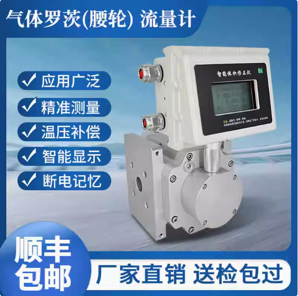 LLQ-250氣體羅茨腰輪流量計...