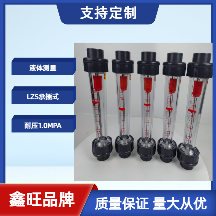 LZS-65塑料管浮子流量計(jì)